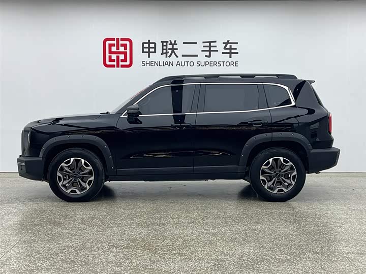 Фото 4 - Haval Dargo