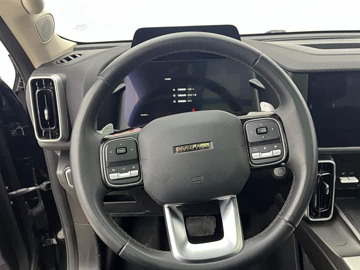 Фото 8 - Haval Dargo
