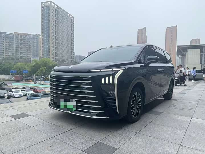 Dongfeng Forthing Xinghai V9 2024 2024款 1.5TD 200km 青云梯系列 尊贵型