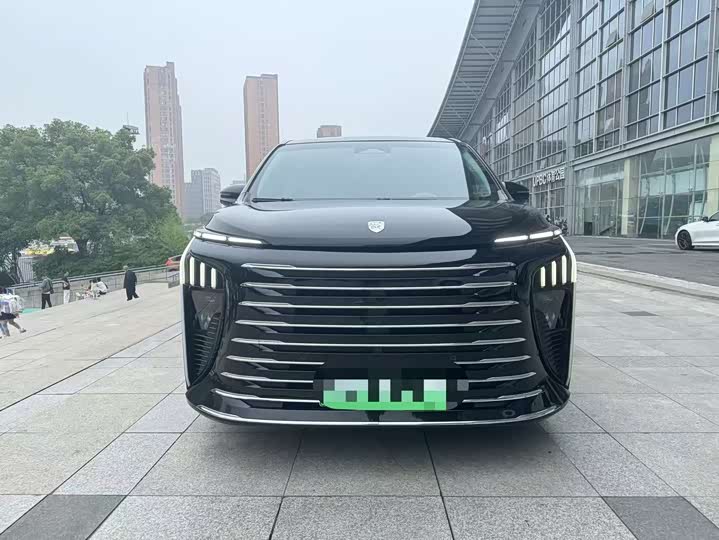 Dongfeng Forthing Xinghai V9 2024 2024款 1.5TD 200km 青云梯系列 尊贵型