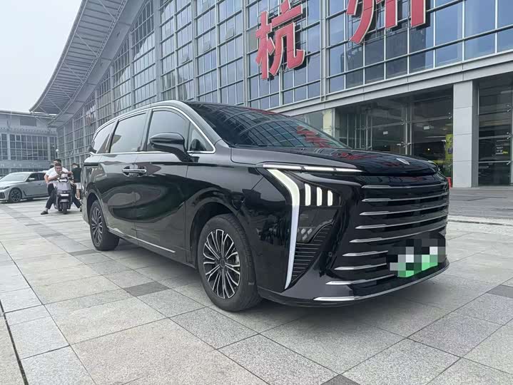 Dongfeng Forthing Xinghai V9 2024 2024款 1.5TD 200km 青云梯系列 尊贵型