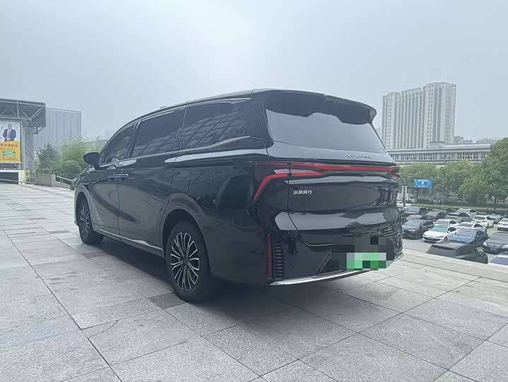 Dongfeng Forthing Xinghai V9 2024 2024款 1.5TD 200km 青云梯系列 尊贵型