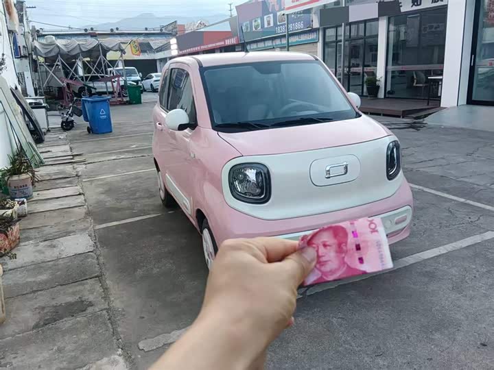 Bestune Pony 2025 2025款 222km 闪电马