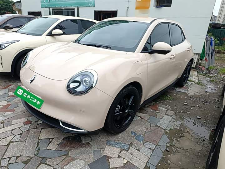 Ora Good Cat (03) 2023 2023款 401km标准续航 尊贵型 磷酸铁锂