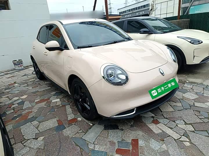 Ora Good Cat (03) 2023 2023款 401km标准续航 尊贵型 磷酸铁锂