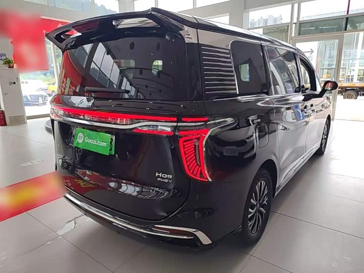 صورة 7 - Hongqi HQ9 Hybrid
