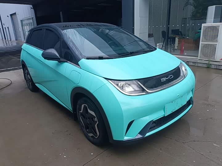 Zdjęcie 4 - BYD Dolphin