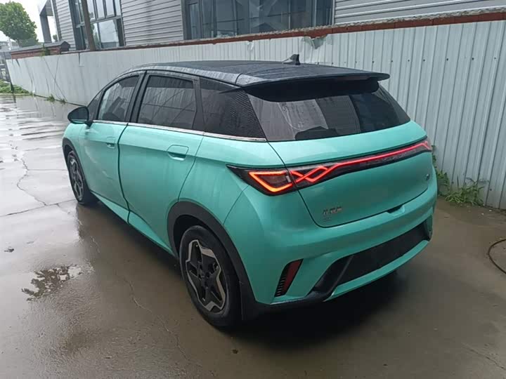 Zdjęcie 5 - BYD Dolphin