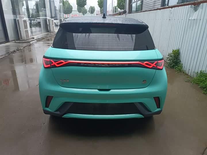 Zdjęcie 6 - BYD Dolphin