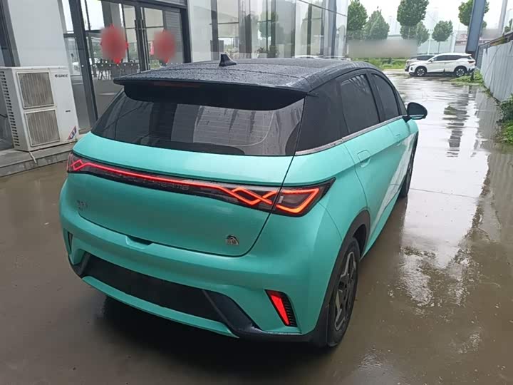 Zdjęcie 7 - BYD Dolphin