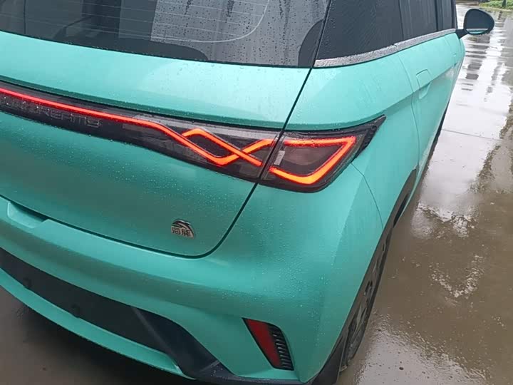 Zdjęcie 8 - BYD Dolphin