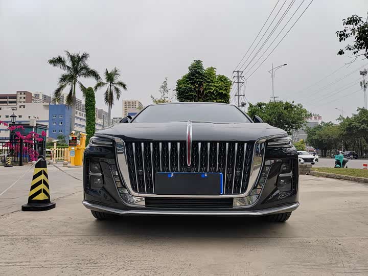 Фото 2 - Hongqi H5