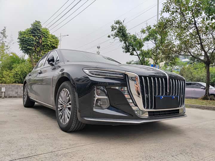 Фото 3 - Hongqi H5