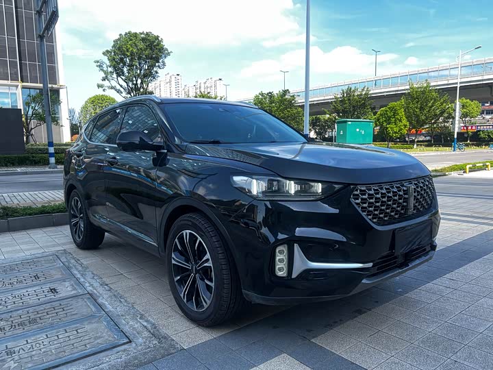 Wey VV6 2021 2021款 2.0T 两驱智享+
