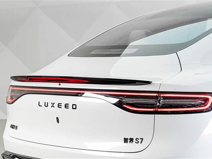 Фото 8 - Luxeed S7