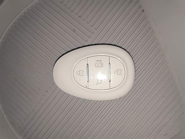 BAIC Arcfox Kaola S 2024 2024款 AIR