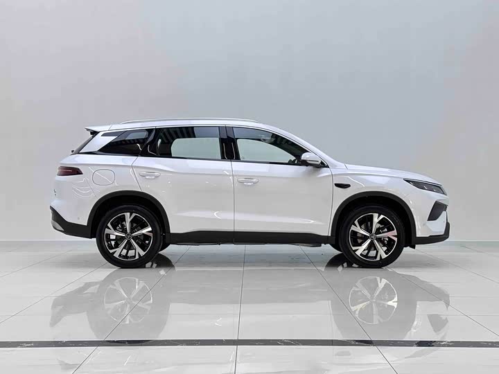 BYD Song Pro Hybrid 2026 2026款 DM-i 220KM超越型