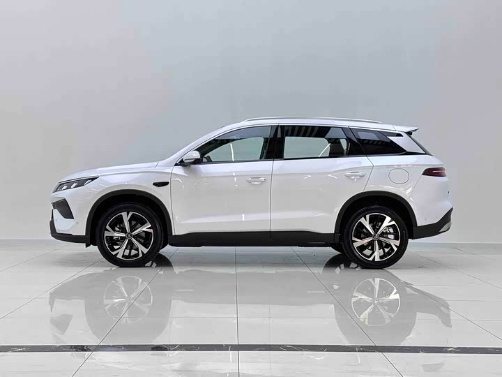 BYD Song Pro Hybrid 2026 2026款 DM-i 220KM超越型