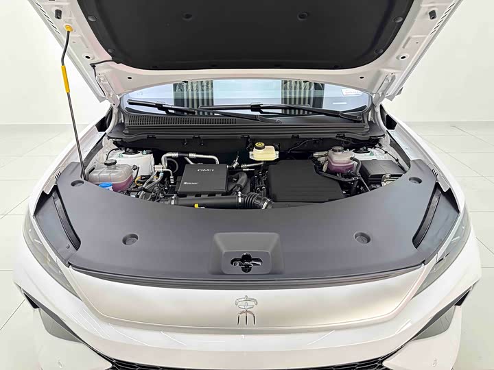 BYD Song Pro Hybrid 2026 2026款 DM-i 220KM超越型