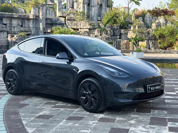 Фото 2 - Tesla Model Y