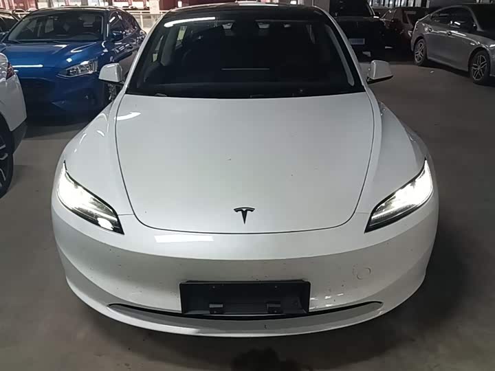 Tesla Model 3 2025 2025款 改款 后轮驱动版