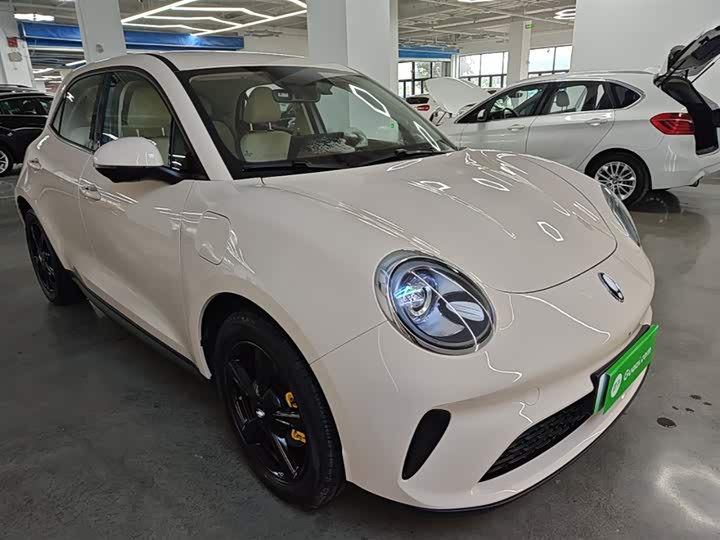 Ora Good Cat (03) 2025 2025款 430km 豪华型