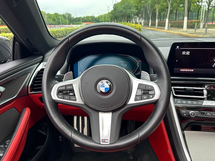 BMW 8 Series 2022 2022款 840i 敞篷轿跑车 M运动套装