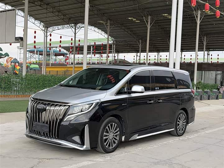 GAC Trumpchi M8 2021 2021款 大师系列 390T 尊贵版