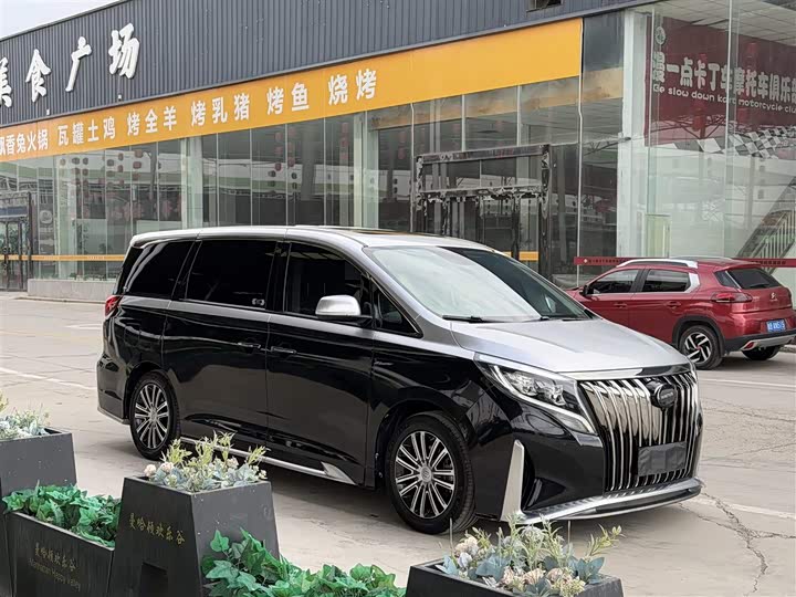 GAC Trumpchi M8 2021 2021款 大师系列 390T 尊贵版