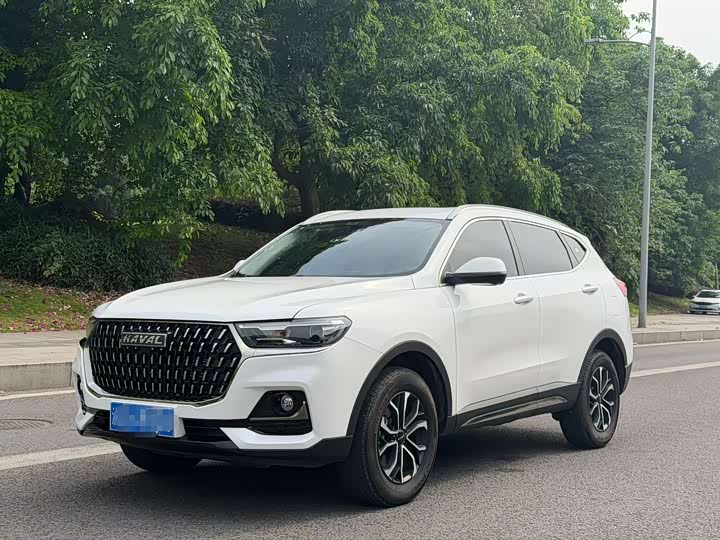 Haval H6 2025 2025款 1.5T 国潮都市版