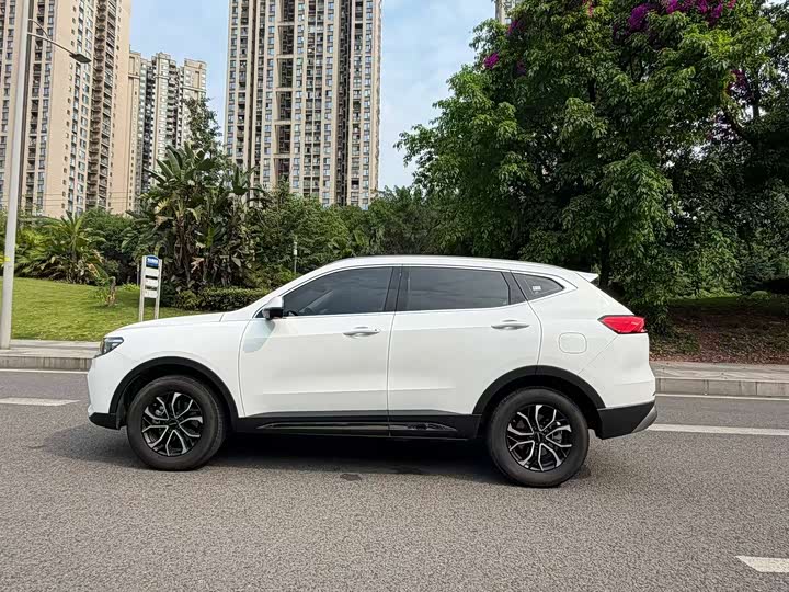 Haval H6 2025 2025款 1.5T 国潮都市版