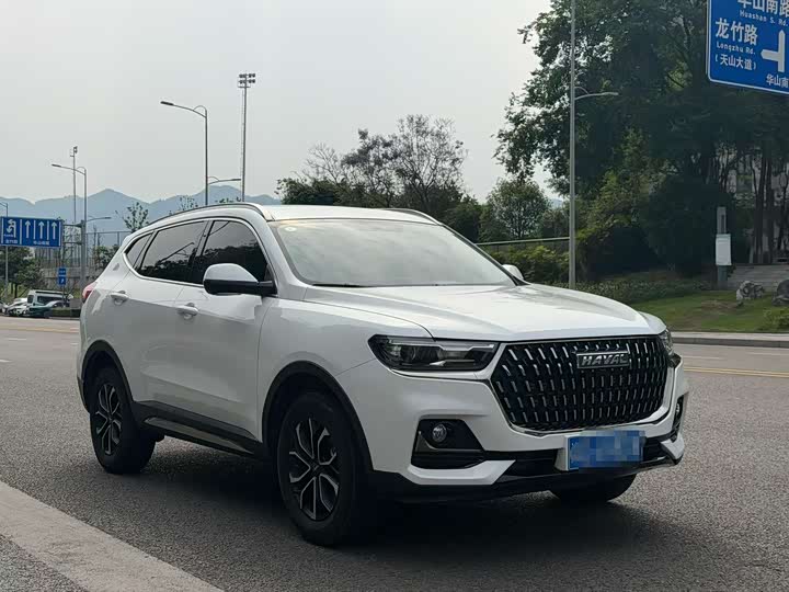 Haval H6 2025 2025款 1.5T 国潮都市版