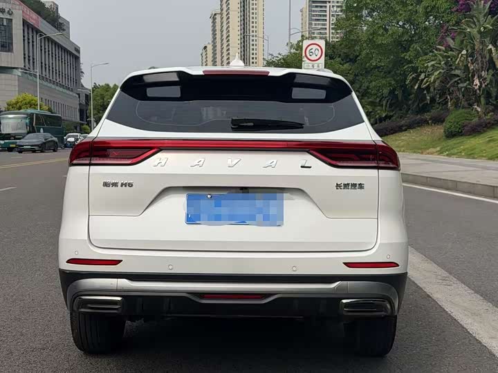 Haval H6 2025 2025款 1.5T 国潮都市版