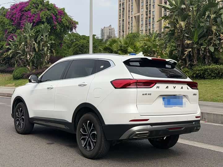 Haval H6 2025 2025款 1.5T 国潮都市版