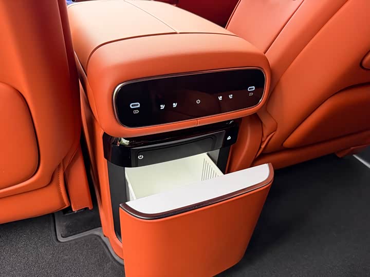 Geely Galaxy M9 2025 2025款 210km 四驱领航版