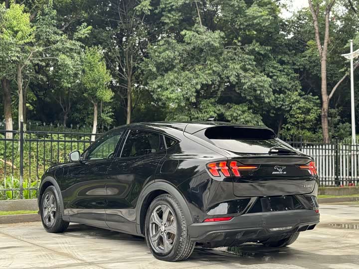 Ford Mustang Mach-E 2021 2021款 跃世后驱版(标准续航)