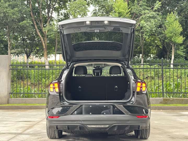 Ford Mustang Mach-E 2021 2021款 跃世后驱版(标准续航)
