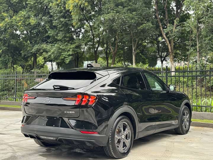 Ford Mustang Mach-E 2021 2021款 跃世后驱版(标准续航)