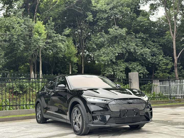 Ford Mustang Mach-E 2021 2021款 跃世后驱版(标准续航)