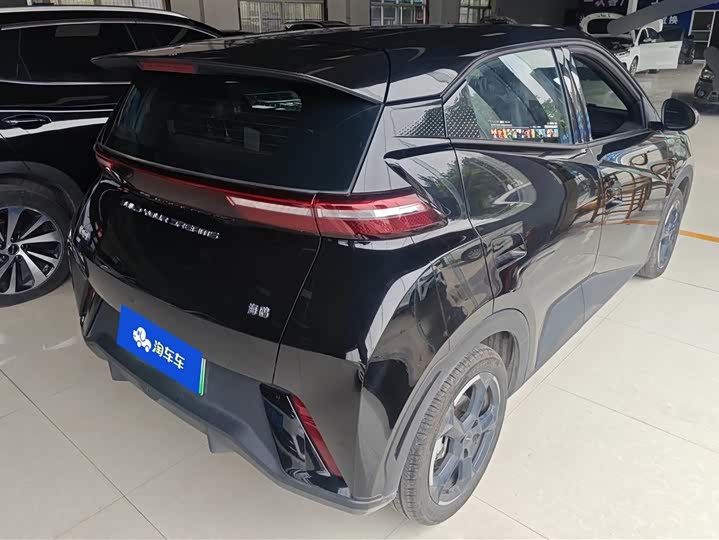 Zdjęcie 3 - BYD Seagull