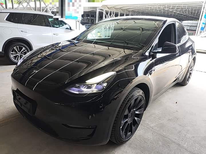 Tesla Model Y 2022 2022款 改款 长续航全轮驱动版