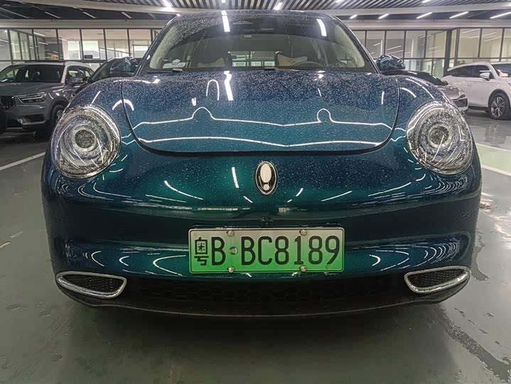 Ora Good Cat (03) 2023 2023款 401km标准续航 豪华型 磷酸铁锂