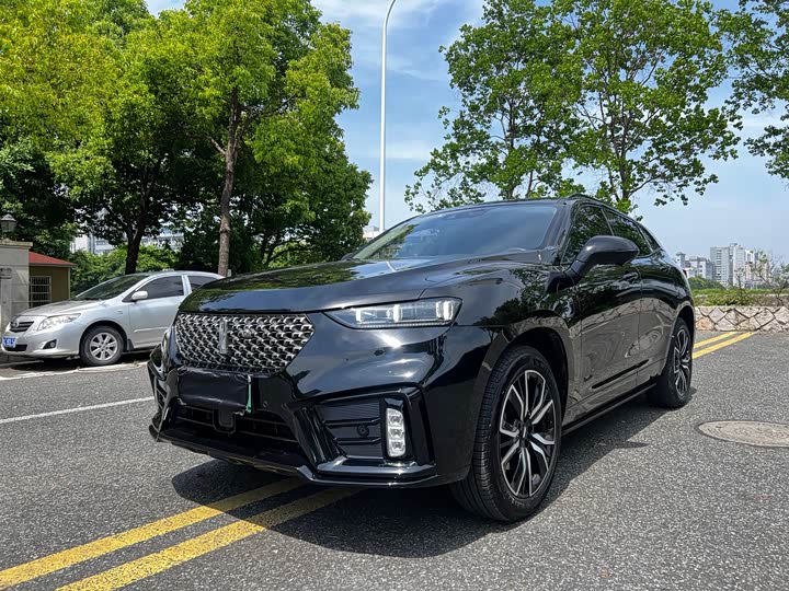 Wey VV7 Hybrid 2020 2020款 PHEV 2.0T 旗舰型