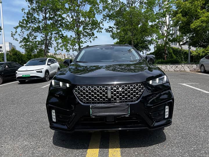 Wey VV7 Hybrid 2020 2020款 PHEV 2.0T 旗舰型