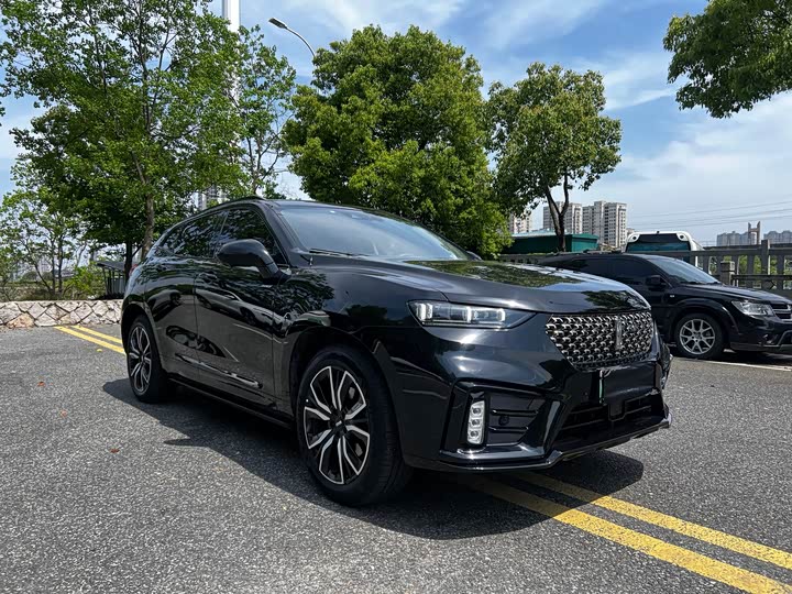 Wey VV7 Hybrid 2020 2020款 PHEV 2.0T 旗舰型