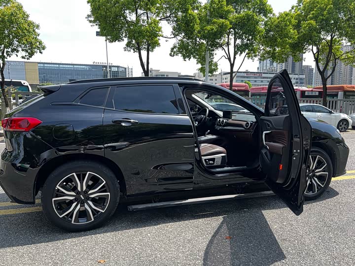 Wey VV7 Hybrid 2020 2020款 PHEV 2.0T 旗舰型