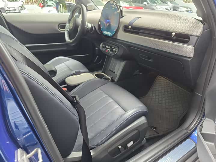 2025 Mini Mini
