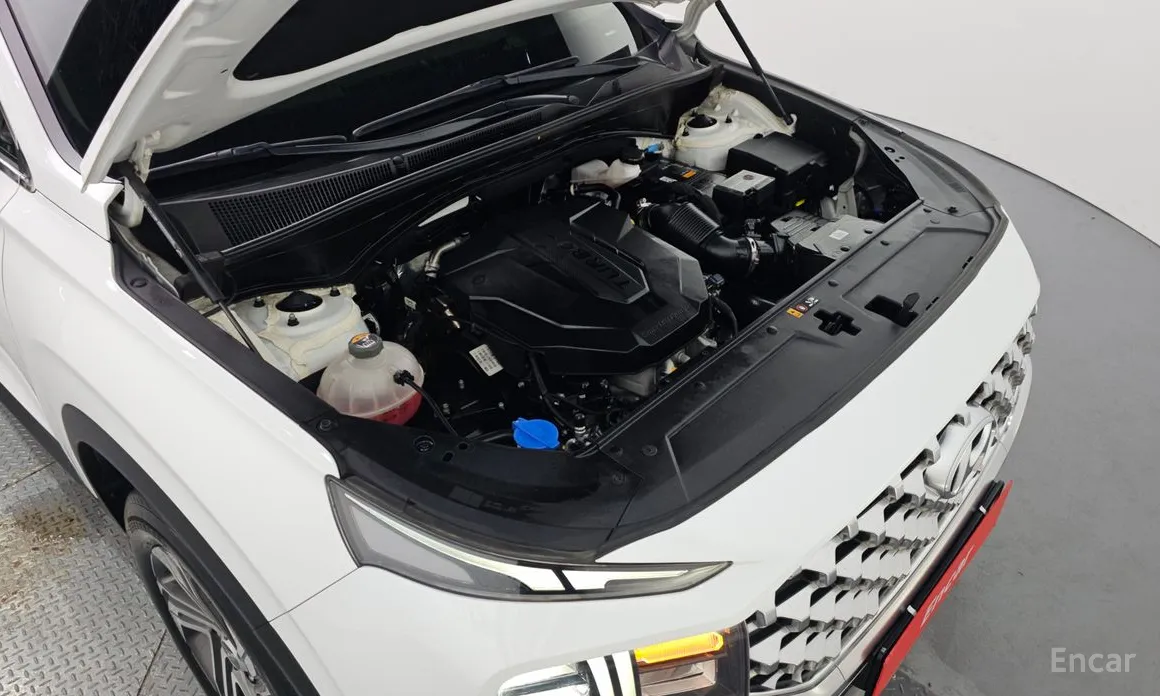 Zdjęcie 6 - Hyundai Santa Fe