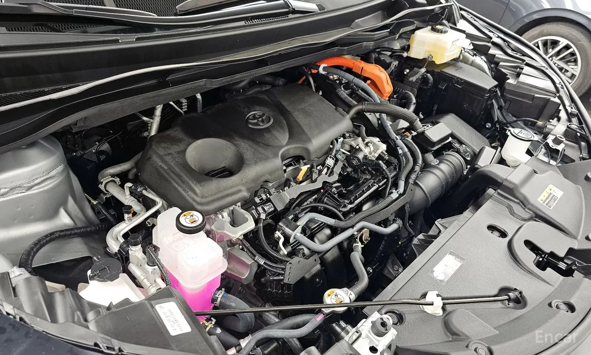 صورة 6 - Toyota Sienna