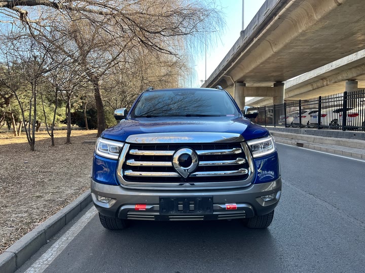 Фото 1 - Great Wall Pao